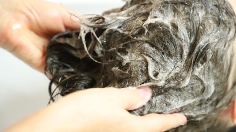 WhatsApp Image 2025-03-12 at 09.55.40